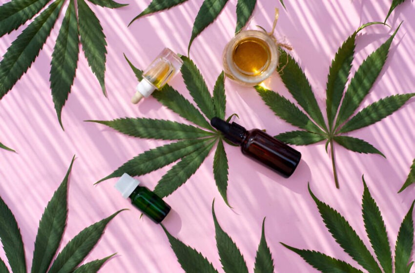  Reason for using CBD in the health Industry