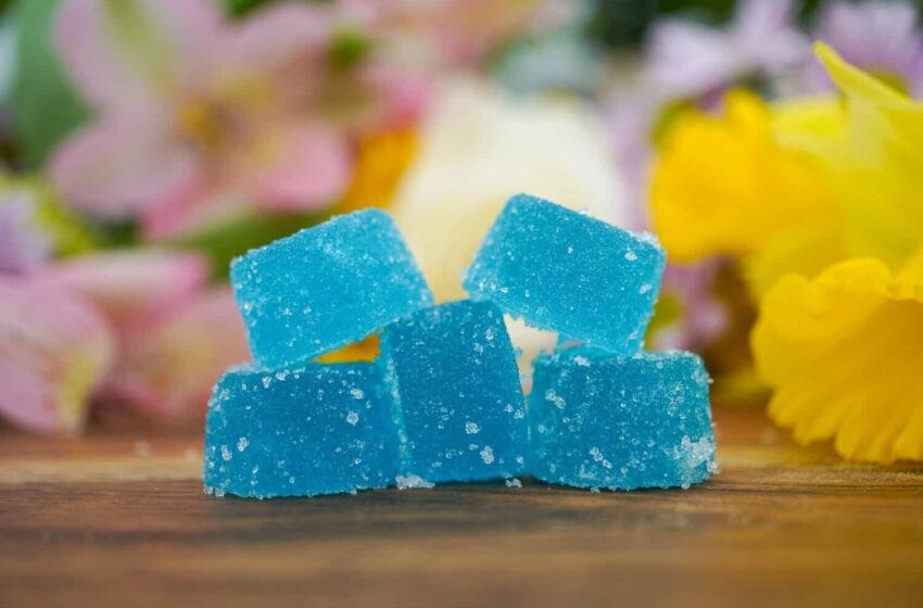 Unlocking the Broader Wellness Potential of Premium CBN Gummies